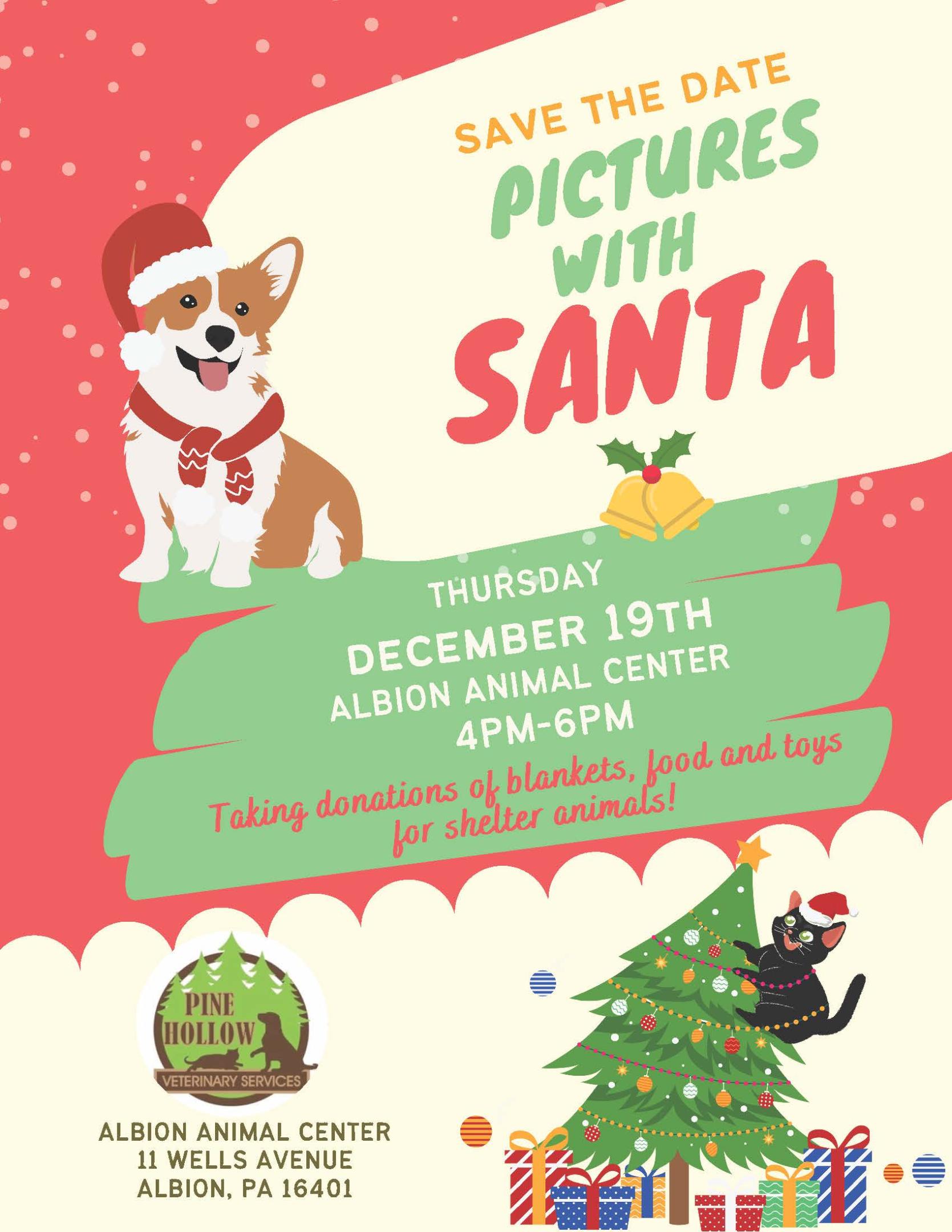 Pet Pictures with Santa