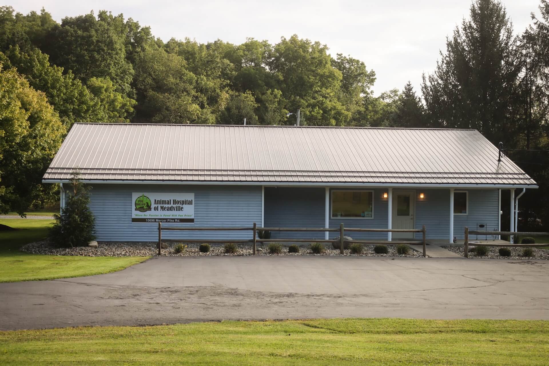 Animal-Hospital-of-Meadville-summer-close-up