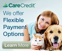 care-credit