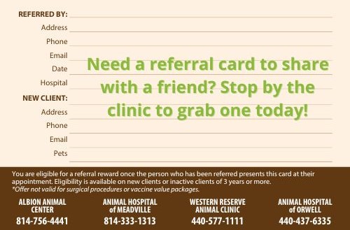 referral card back